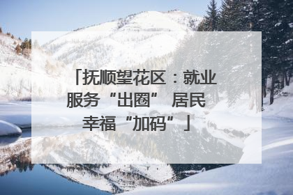 抚顺望花区：就业服务“出圈” 居民幸福“加码”