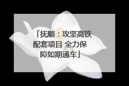 抚顺：攻坚高铁配套项目 全力保障如期通车