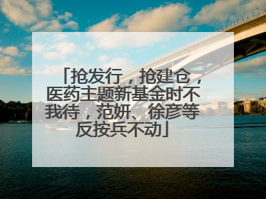 抢发行，抢建仓，医药主题新基金时不我待，范妍、徐彦等反按兵不动