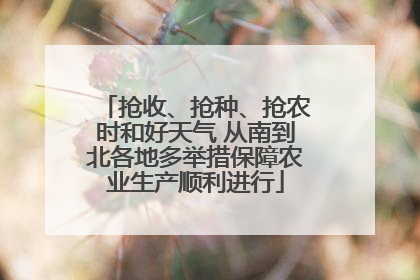抢收、抢种、抢农时和好天气 从南到北各地多举措保障农业生产顺利进行