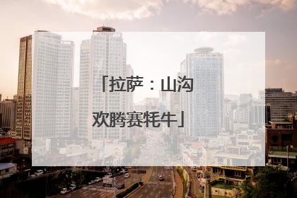 拉萨：山沟欢腾赛牦牛
