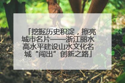 挖掘历史积淀，擦亮城市名片——浙江丽水高水平建设山水文化名城“闯出”创新之路