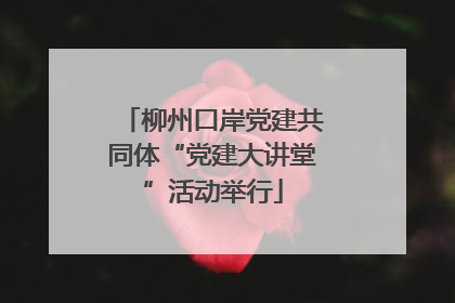 柳州口岸党建共同体“党建大讲堂”活动举行
