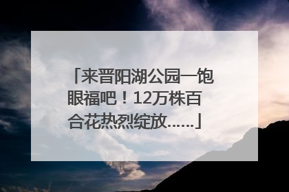 来晋阳湖公园一饱眼福吧！12万株百合花热烈绽放……
