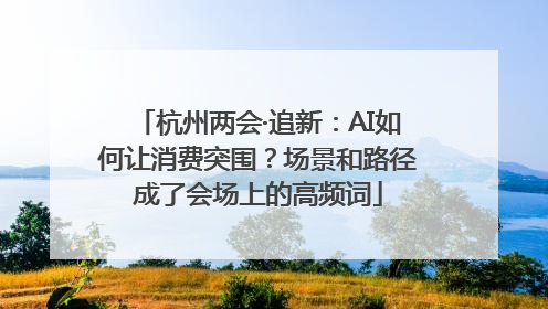 杭州两会·追新：AI如何让消费突围？场景和路径成了会场上的高频词