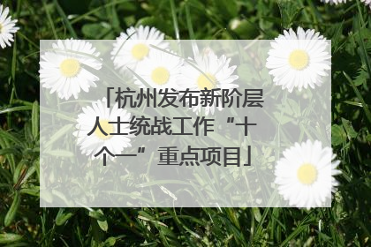 杭州发布新阶层人士统战工作“十个一”重点项目