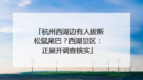 杭州西湖边有人拔断松鼠尾巴？西湖景区：正展开调查核实