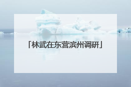 林武在东营滨州调研