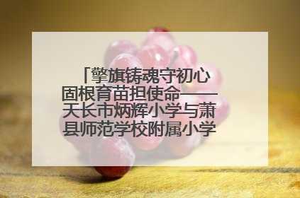 擎旗铸魂守初心 固根育苗担使命——天长市炳辉小学与萧县师范学校附属小学结对共建活动纪实