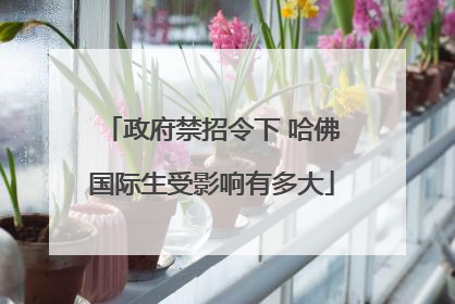 政府禁招令下 哈佛国际生受影响有多大