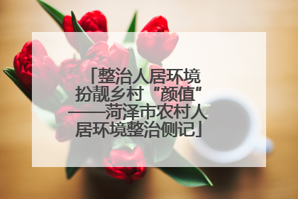 整治人居环境 扮靓乡村“颜值”——菏泽市农村人居环境整治侧记