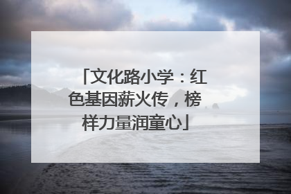 文化路小学：红色基因薪火传，榜样力量润童心