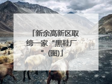新余高新区取缔一家“黑鞋厂”(图)