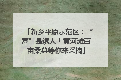 新乡平原示范区：“葚”是诱人！黄河滩百亩桑葚等你来采摘