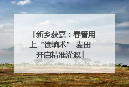 新乡获嘉：春管用上“读墒术” 麦田开启精准灌溉