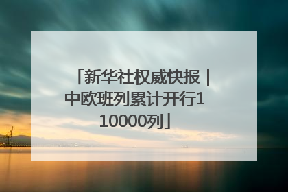 新华社权威快报｜中欧班列累计开行110000列