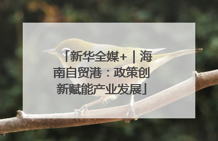 新华全媒+｜海南自贸港：政策创新赋能产业发展