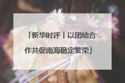 新华时评丨以团结合作共促南海稳定繁荣