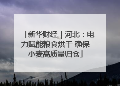 新华财经｜河北：电力赋能粮食烘干 确保小麦高质量归仓