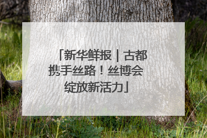 新华鲜报｜古都携手丝路！丝博会绽放新活力