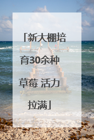 新大棚培育30余种草莓 活力拉满