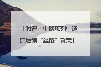 时评：中欧班列中通道赓续“丝路”繁荣