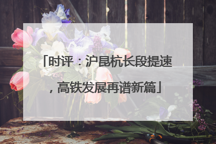 时评：沪昆杭长段提速，高铁发展再谱新篇