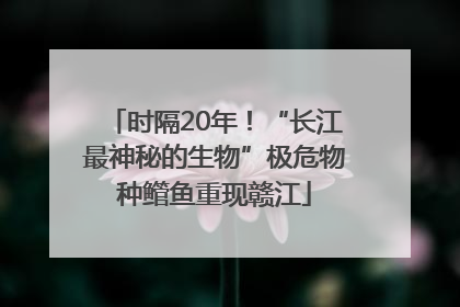 时隔20年！“长江最神秘的生物”极危物种鳤鱼重现赣江