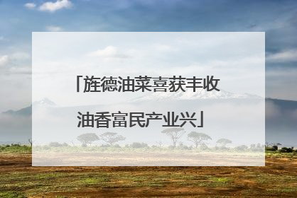 旌德油菜喜获丰收 油香富民产业兴