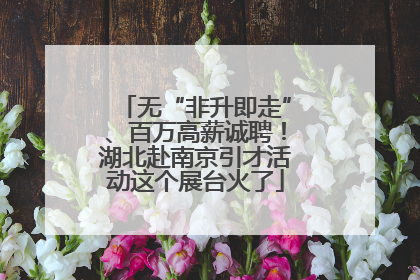 无“非升即走”、百万高薪诚聘！湖北赴南京引才活动这个展台火了
