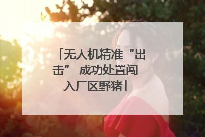 无人机精准“出击” 成功处置闯入厂区野猪