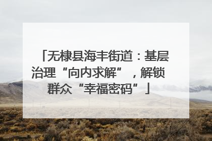 无棣县海丰街道：基层治理“向内求解”，解锁群众“幸福密码”