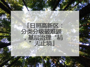 日照高新区：分类分级破难题，基层治理“精”无止境
