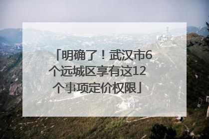 明确了！武汉市6个远城区享有这12个事项定价权限