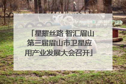 星耀丝路 智汇眉山 第三届眉山市卫星应用产业发展大会召开