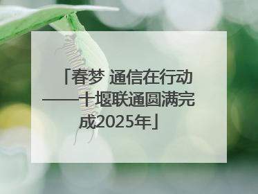 春梦 通信在行动——十堰联通圆满完成2025年