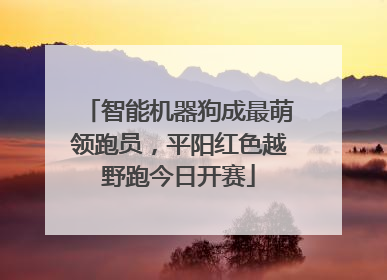 智能机器狗成最萌领跑员，平阳红色越野跑今日开赛