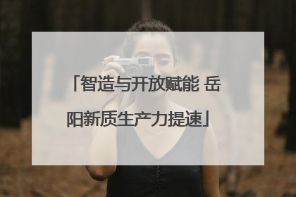 智造与开放赋能 岳阳新质生产力提速