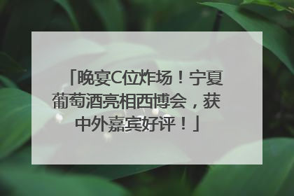 晚宴C位炸场！宁夏葡萄酒亮相西博会，获中外嘉宾好评！