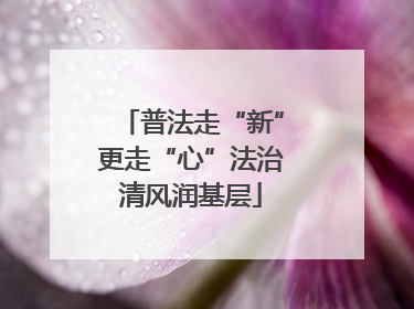 普法走“新”更走“心”法治清风润基层