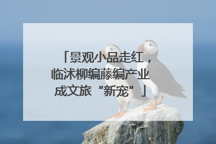 景观小品走红，临沭柳编藤编产业成文旅“新宠”