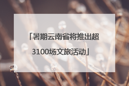 暑期云南省将推出超3100场文旅活动