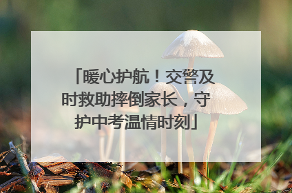 暖心护航！交警及时救助摔倒家长，守护中考温情时刻
