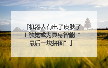 机器人有电子皮肤了！触觉或为具身智能“最后一块拼图”