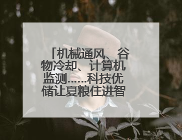 机械通风、谷物冷却、计算机监测……科技优储让夏粮住进智慧的“家”