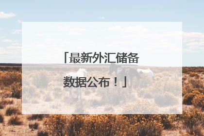 最新外汇储备数据公布！