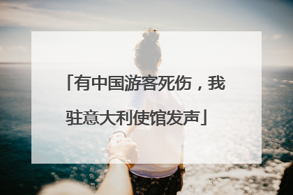 有中国游客死伤，我驻意大利使馆发声