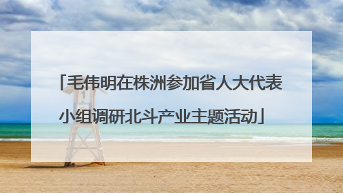 毛伟明在株洲参加省人大代表小组调研北斗产业主题活动