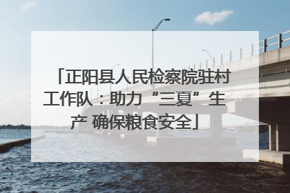 正阳县人民检察院驻村工作队：助力“三夏”生产 确保粮食安全