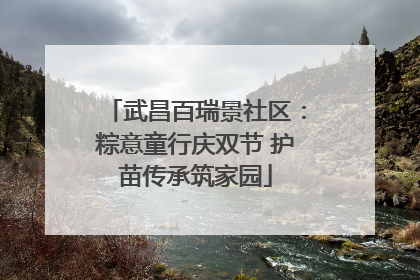 武昌百瑞景社区：粽意童行庆双节 护苗传承筑家园